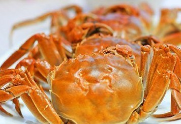螃蟹的营养价值及功效作用_饮食档案