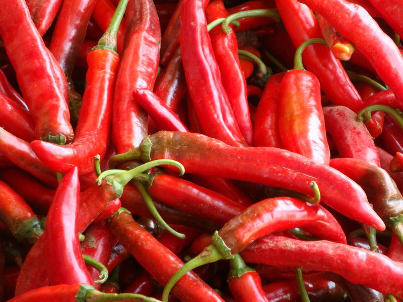辣椒在四川为什么叫海椒_美食典故