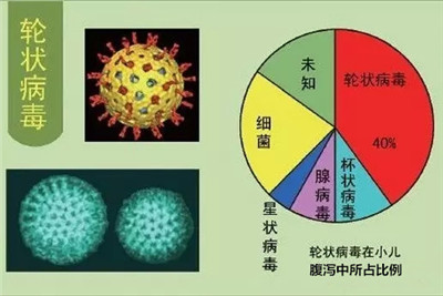 病毒的症状_mers病毒有什么症状_病毒性感冒症状及治疗