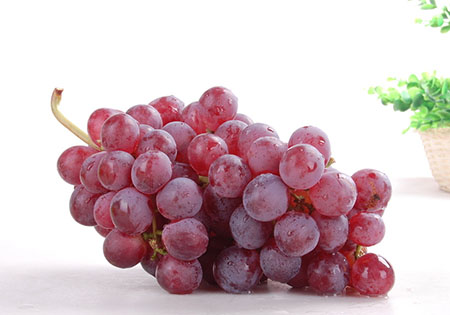 孕妇血糖高能吃提子吗