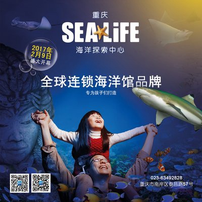 重庆海洋探索中心“小小水族师”招募正式启动