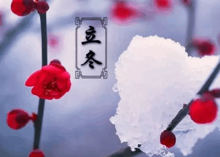 立冬节气应该给宝宝吃什么？