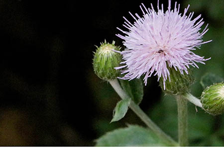 618疯抢倒计时红孩子告诉你最该买啥