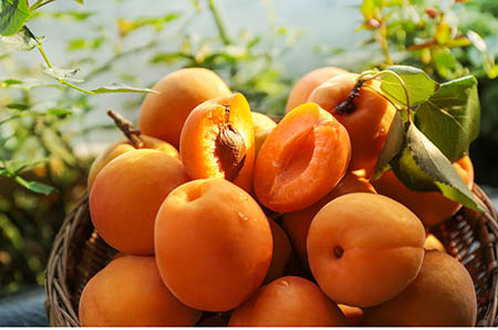 全球首款注册婴幼儿牦牛奶配方奶粉上市