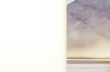 怎样让宝宝秋天少生病