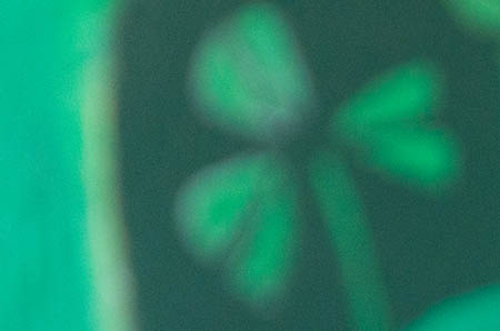 小样小乳酸多少钱一箱