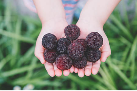 黑牛维他命豆奶粉怎么样