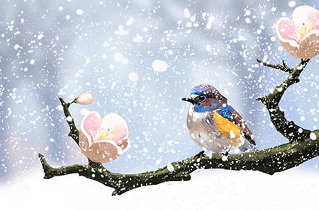 2019贝因美奶粉价格表