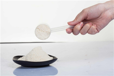 胆结石可以吃蛋白质粉吗 蛋白质会沉淀为结石吗？