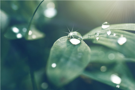 回南天和梅雨的区别