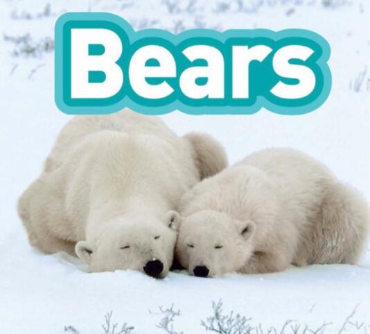 《Bears》国家地理第三级科普绘本pdf资源免费下载