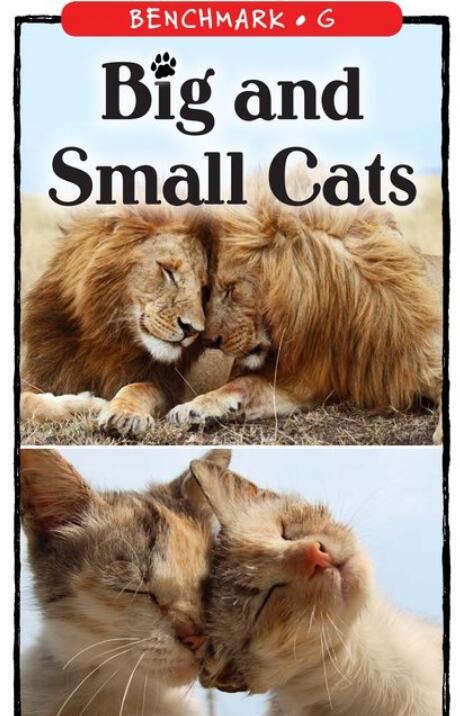 《Big and Small Cats》RAZ绘本pdf资源百度网盘免费下载