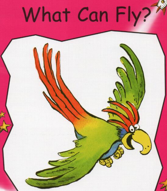 《What Can Fly》红火箭分级绘本故事pdf资源免费下载