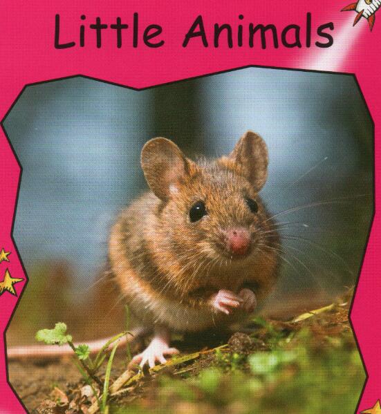 《Little Animals》红火箭分级绘本pdf资源免费下载