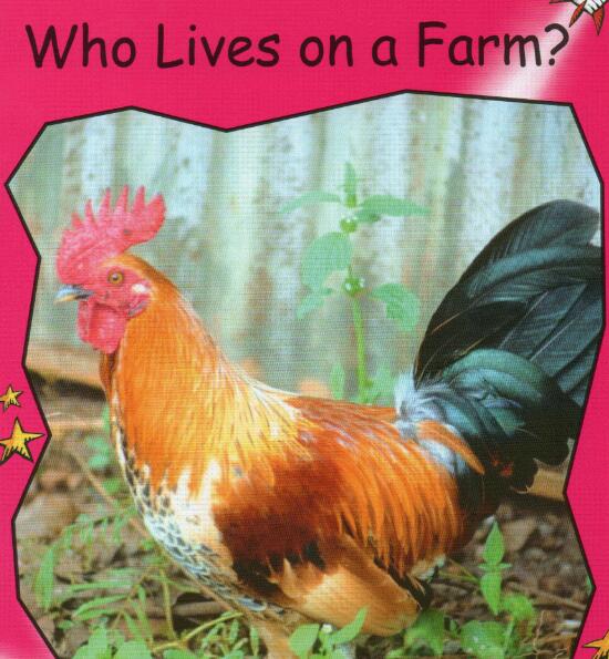 《Who Lives on a Farm》红火箭分级绘本pdf资源免费下载
