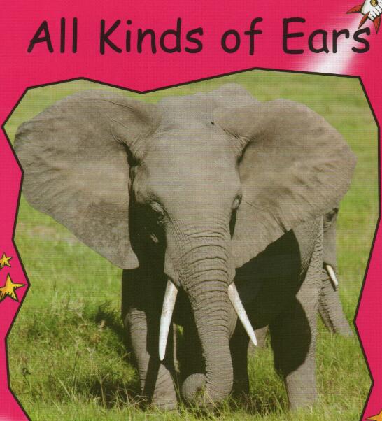 《All Kinds Of Ears》红火箭绘本pdf资源免费下载