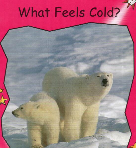 《What Feels Cold》红火箭分级绘本pdf资源免费下载