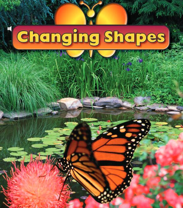 《Changing Shapes》儿童英语分级读物pdf资源免费下载