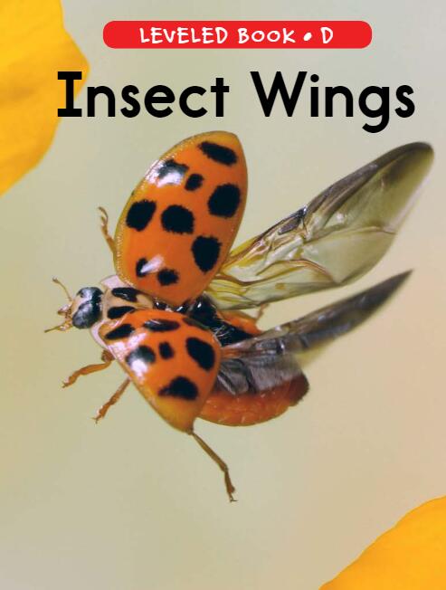 《Insect Wings》RAZ分级英文绘本pdf资源免费下载