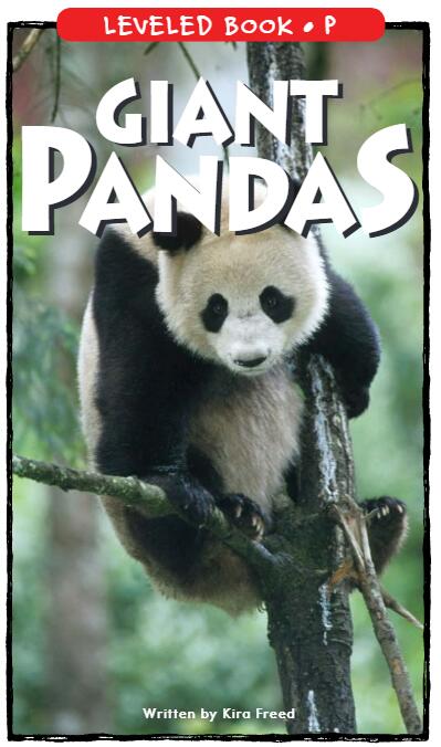 《Giant Pandas》RAZ分级阅读绘本pdf资源免费下载
