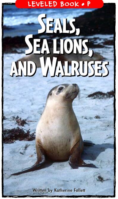 《Seals,Sea Lions,and Walruses》RAZ绘本pdf资源免费下载