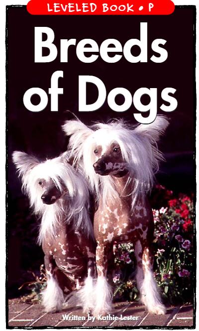《Breeds of Dogs》RAZ分级绘本pdf资源免费下载