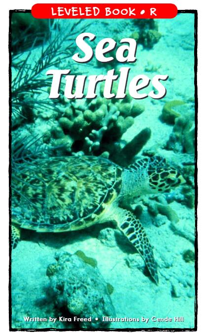 《Sea Turtles》RAZ分级绘本pdf资源免费下载