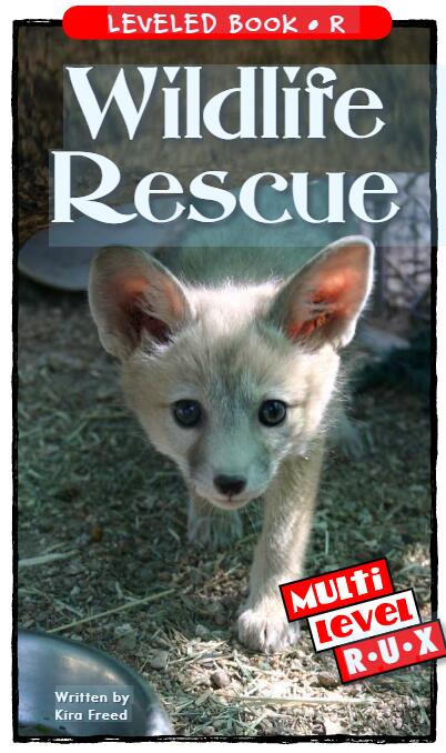 《Wildlife Rescue》RAZ分级绘本pdf资源免费下载