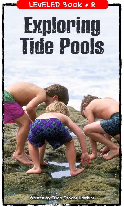 《Exploring Tide Pools》RAZ分级绘本pdf资源免费下载
