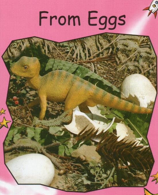 《From Eggs》红火箭分级绘本pdf资源免费下载