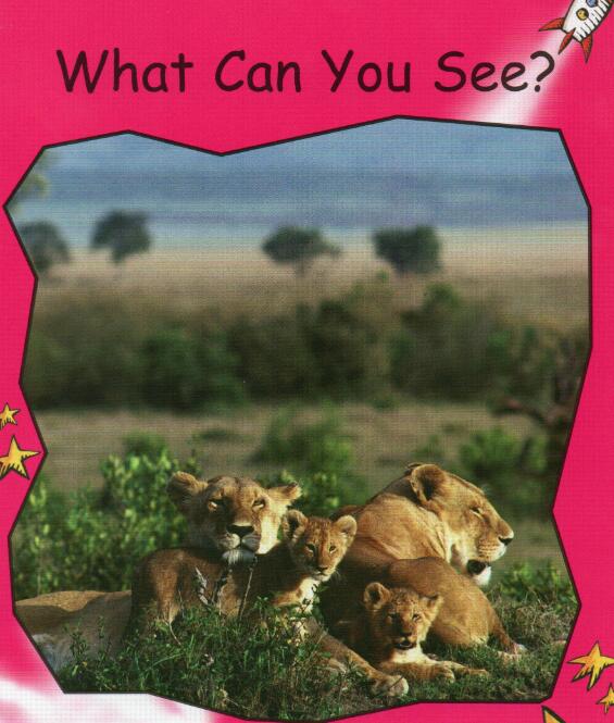 《What Can You See》红火箭分级阅读pdf资源免费下载