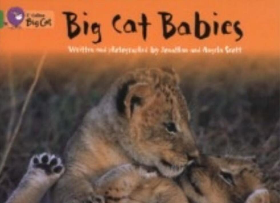 《Big cat Babies》大猫英语分级绘本pdf资源免费下载