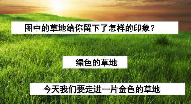 2021年部编版三年级上册第16课《金色的草地》PPT课件资源免费下载