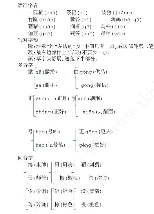 六年级语文上册第八单元知识点复习文档资源免费下载