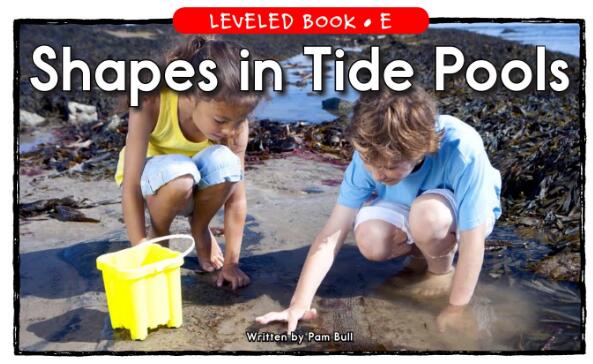《Shapes in Tide Pools》RAZ分级阅读E级绘本pdf资源下载