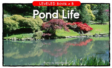 Pond Life绘本电子书+音频百度云免费下载