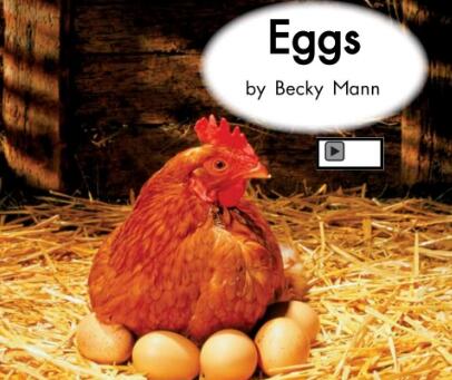 《Eggs》海尼曼绘本翻译及pdf资源下载