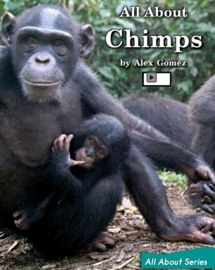 《All About Chimps》绘本翻译及pdf资源下载