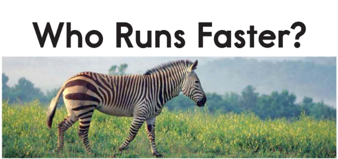 Who Runs Faster绘本电子书+音频百度云免费下载