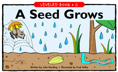 A Seed Grows绘本电子档+音频百度云免费下载