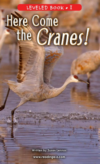 Here Come the Cranes!绘本PDF+音频资源免费下载