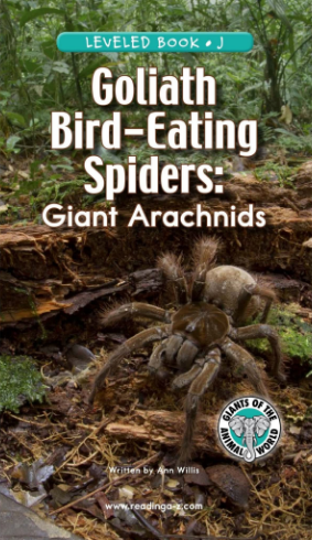 Goliath Bird-Eating Spiders Giant Arachnids绘本电子版+音频百度网盘免费下载