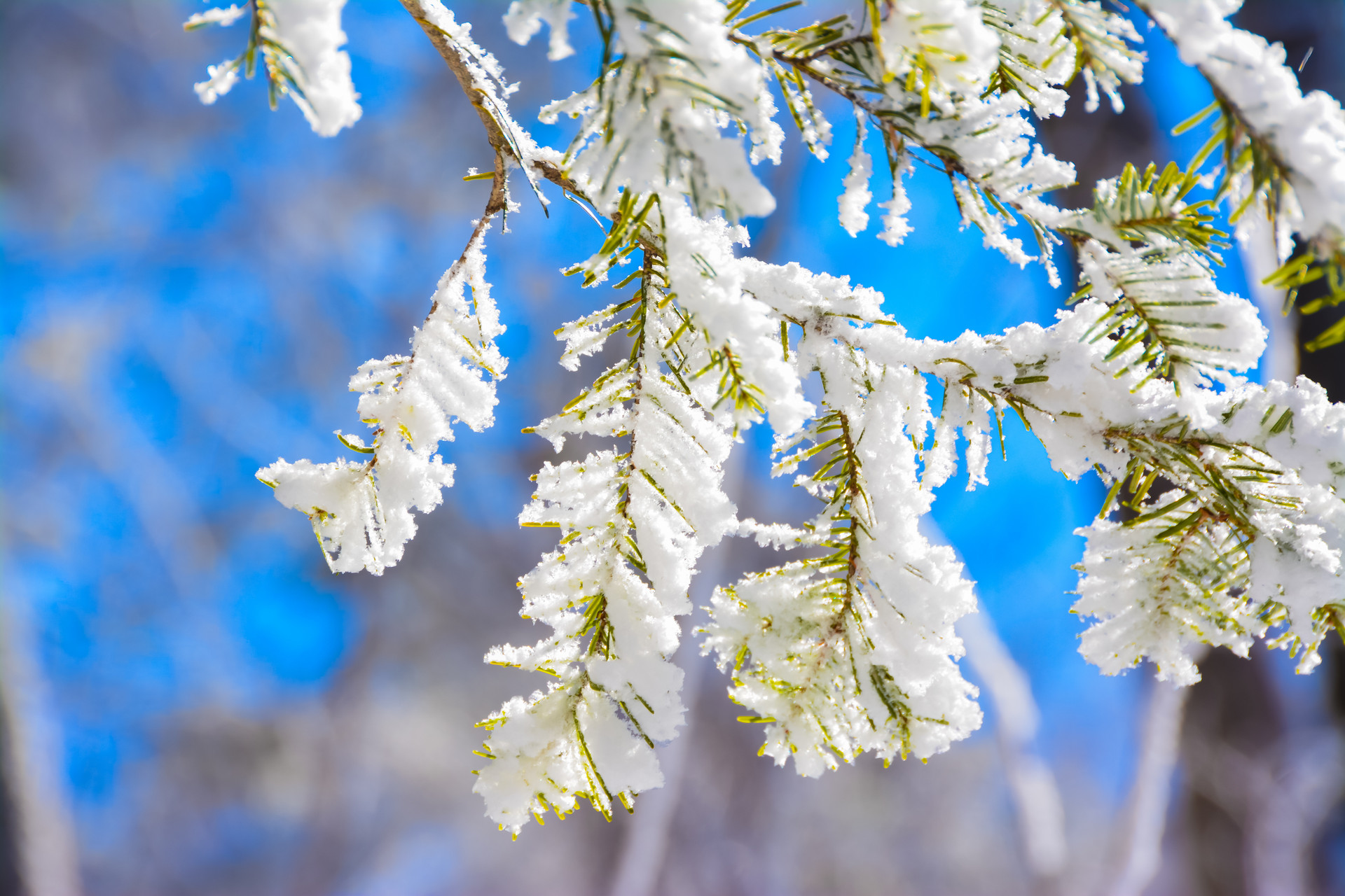 小雪节气的由来和风俗