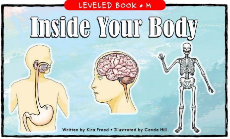 Inside Your Body绘本PDF+音频资源免费下载