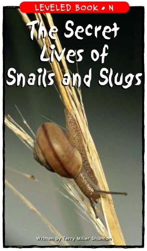 The Secret Lives of Snails and Slugs绘本PDF+音频百度网盘免费下载