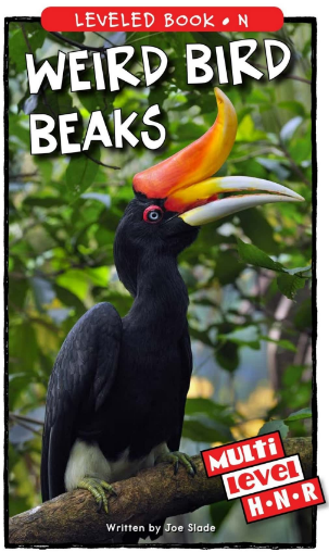 Weird Bird Beaks绘本PDF+音频百度网盘免费下载