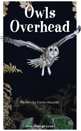 Owls Overhead绘本PDF+音频百度网盘免费下载
