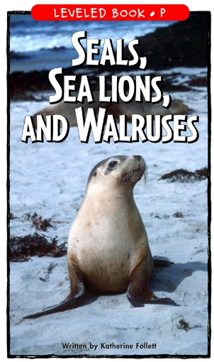 Seals, Sea Lions, and Walruses绘本PDF+音频百度网盘免费下载