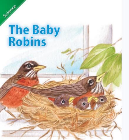 The Baby Robins绘本翻译及pdf资源下载