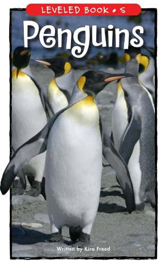 Penguins绘本PDF+MP3百度网盘资源下载